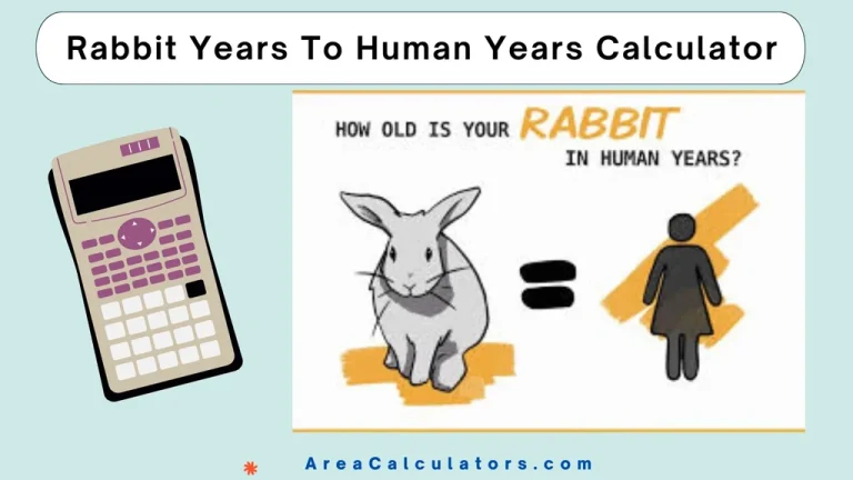 rabbit years to human years calculator